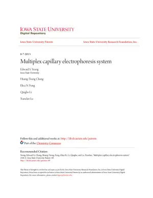 Advancements in Multiplex Capillary Electrophoresis for Enhanced DNA Sequencing